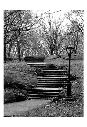 Framed Central Park Stairs To Nowhere Print