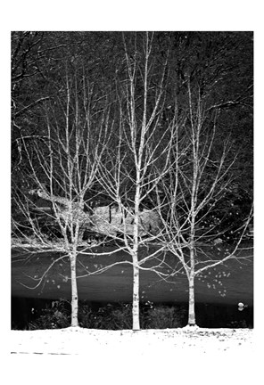 Framed Central Park Three Amigos Winter Print