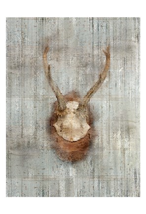 Framed Antlers 1 Print