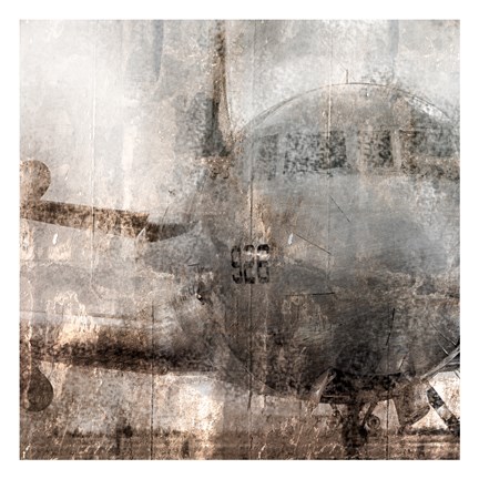 Framed Oxidized Aircraft Print