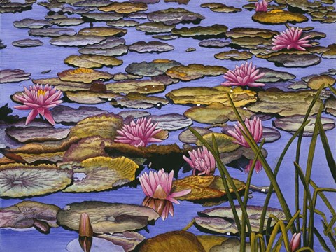 Framed Water Lilies Print