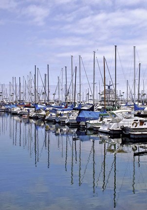 Framed Marina Reflections Print