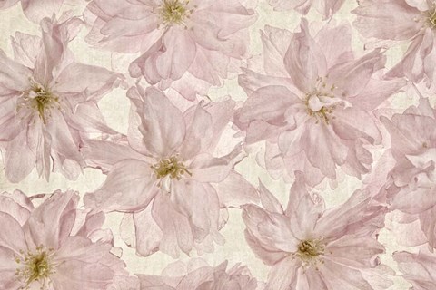 Framed Vintage Blossom Print