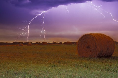 Framed Lightning Over Hay Fields Print