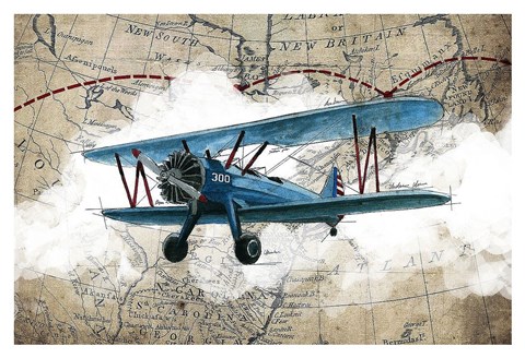 Framed Biplane 1 Print