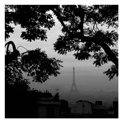 Framed Eiffel Tower View 1 Print