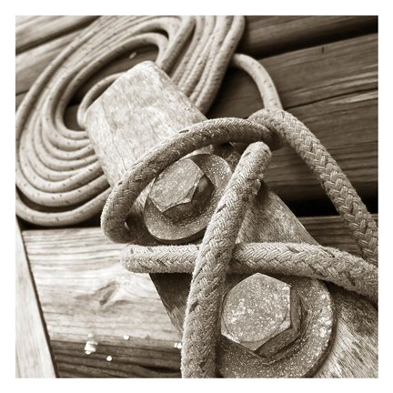 Framed Knots and Bolts Print