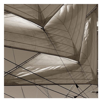 Framed Sails Print