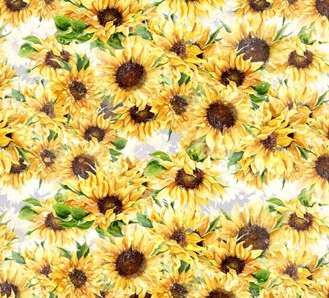 Framed Sunflowers Pattern Print
