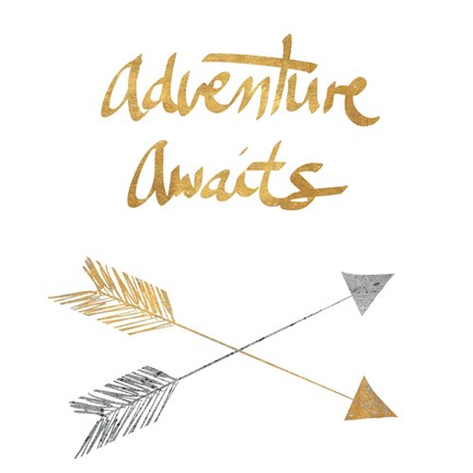 Framed Adventure Arrows Print