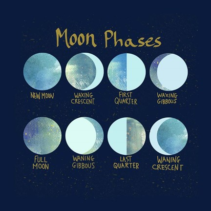 Framed Moon Phases Print