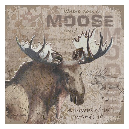 Framed Where Does a Moose Run Print