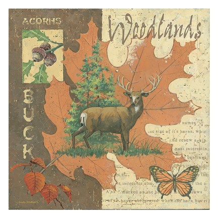 Framed Woodlands Buck Print