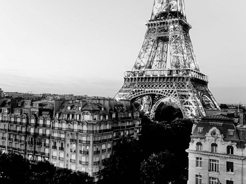 Framed Eiffel Tower and Buildings, Paris Print