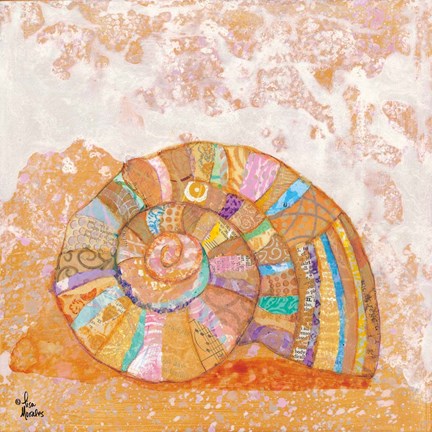 Framed Spiral Seashell Print