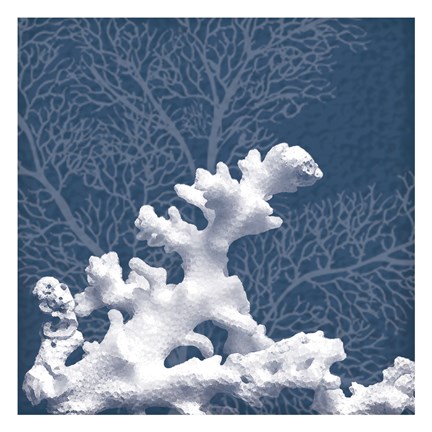 Framed Sea Coral 1 Print