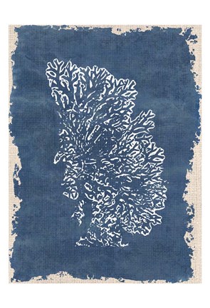 Framed Blue Hue Coral 3 Print