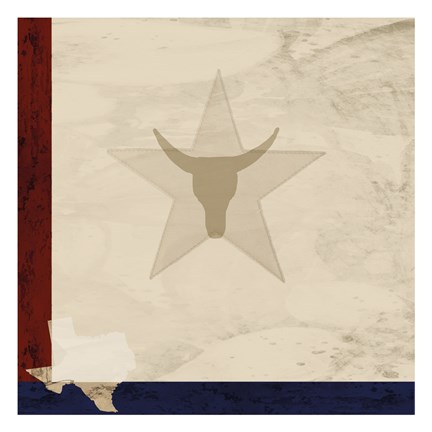 Framed Stars and Longhorns Print