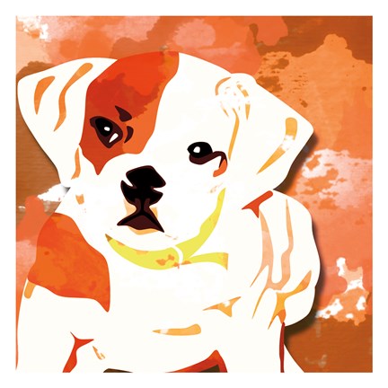 Framed Dog in Color 2 Print