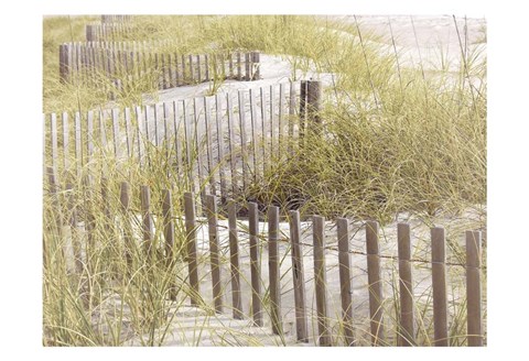 Framed Coastal Photograpy Textured Print