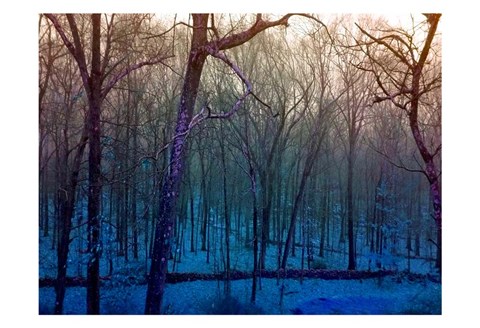Framed Blue Forest Print