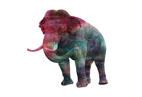 Framed Elephant Memory In Color Print