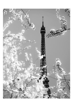 Framed Spring Eiffel BW Print