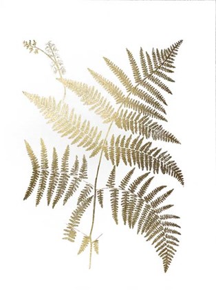 Framed Gold Foil Ferns I - Metallic Foil Print