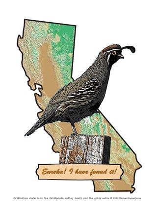 Framed California State Bird Print