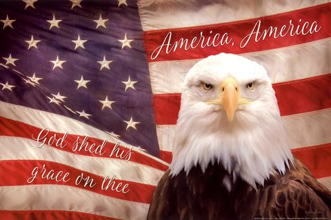 Framed American Eagle Flag Print