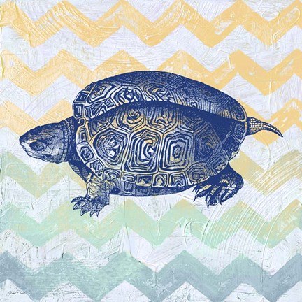Framed Sea Creatures - Turtle Print