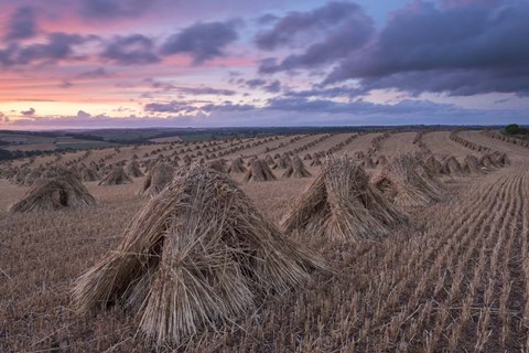 Framed Hay Stacks Print