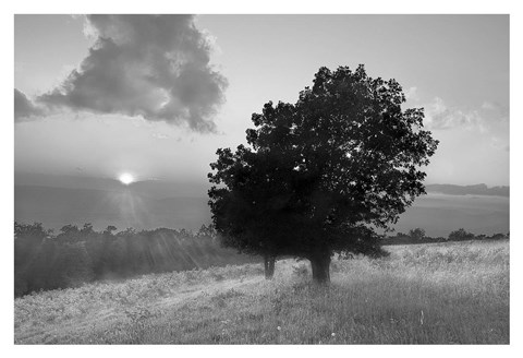 Framed Spitler Knoll Overlook Print