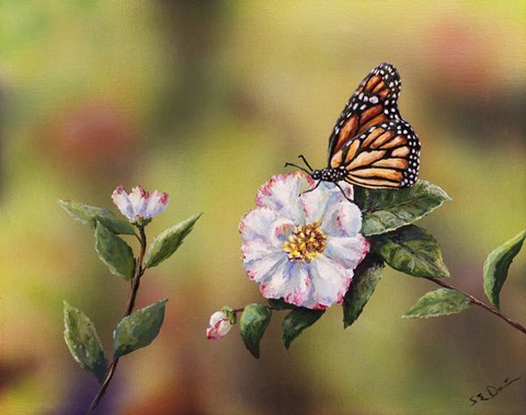 Framed Monarch With Camellia Print