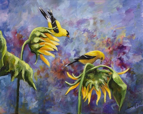 Framed Finches with Sunflowers Print