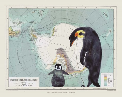 Framed Antartica Print