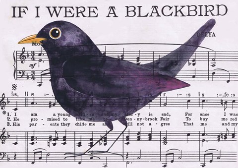 Framed If I Were A Blackbird Print