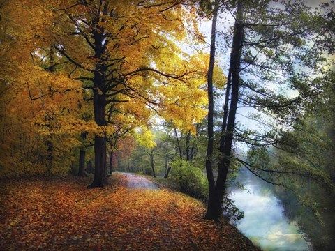 Framed Autumn River View Print