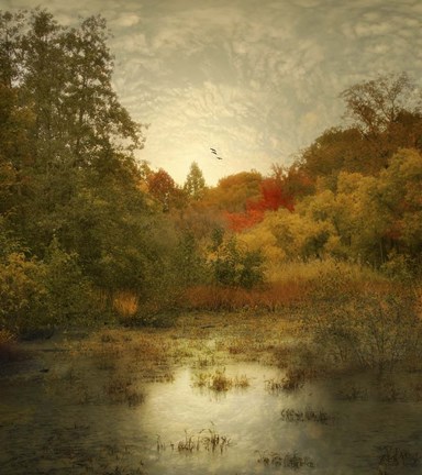 Framed Autumn Wetlands Print