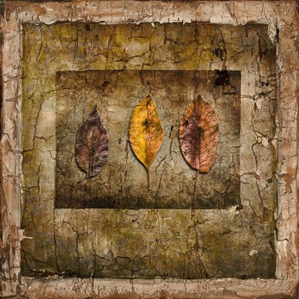 Framed Autumn Leaves I Print