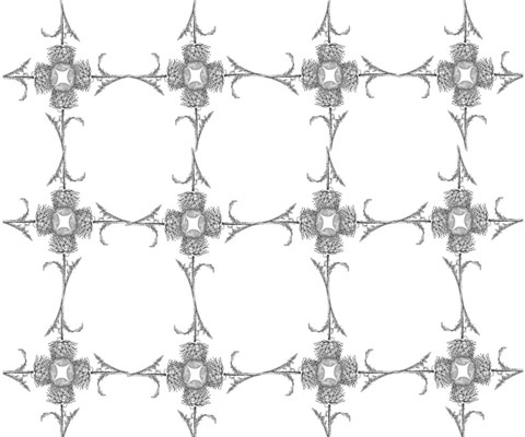 Framed Thistle Flower Pattern Print