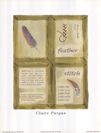Framed Feather Stitch Print