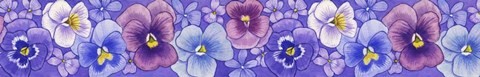 Framed Pansies border Print