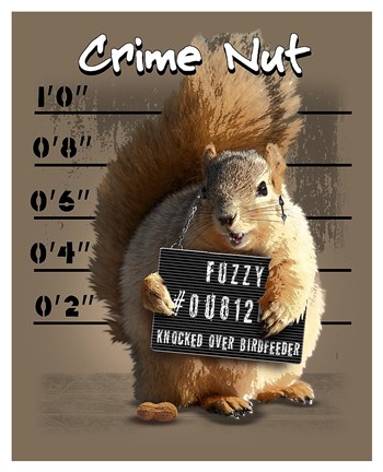 Framed Crime Nut Print
