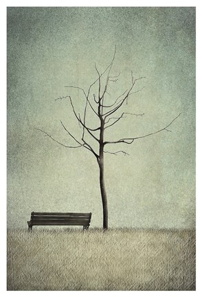 Framed Cherry Tree - Winter Print