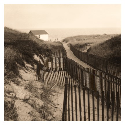 Framed Dune Fence Print