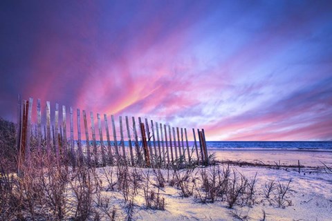 Framed Beach Fences Print