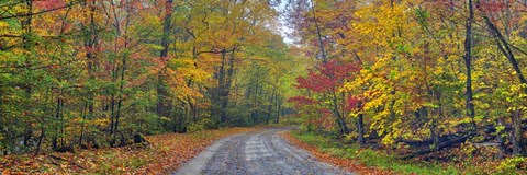 Framed Autumn Road Print