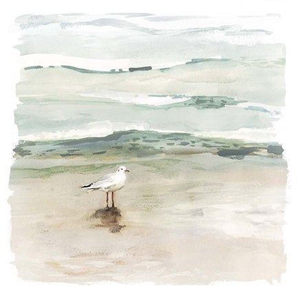 Framed Seagull Cove I Print