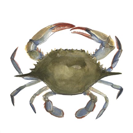 Framed Watercolor Crab II Print